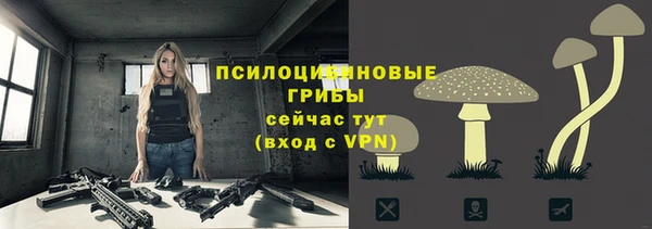 a pvp Балахна