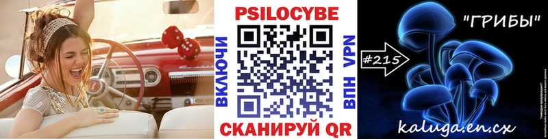 MEGA ссылка  магазин продажи наркотиков  Игра  Псилоцибиновые грибы Cubensis 